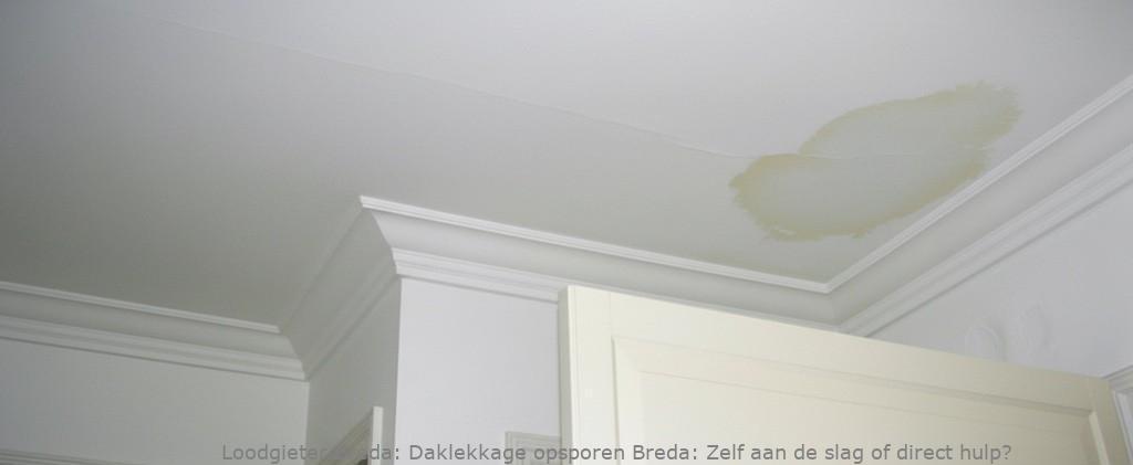 Daklekkage Opsporen Breda