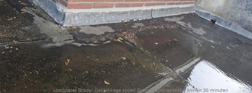 Daklekkage Spoed Breda