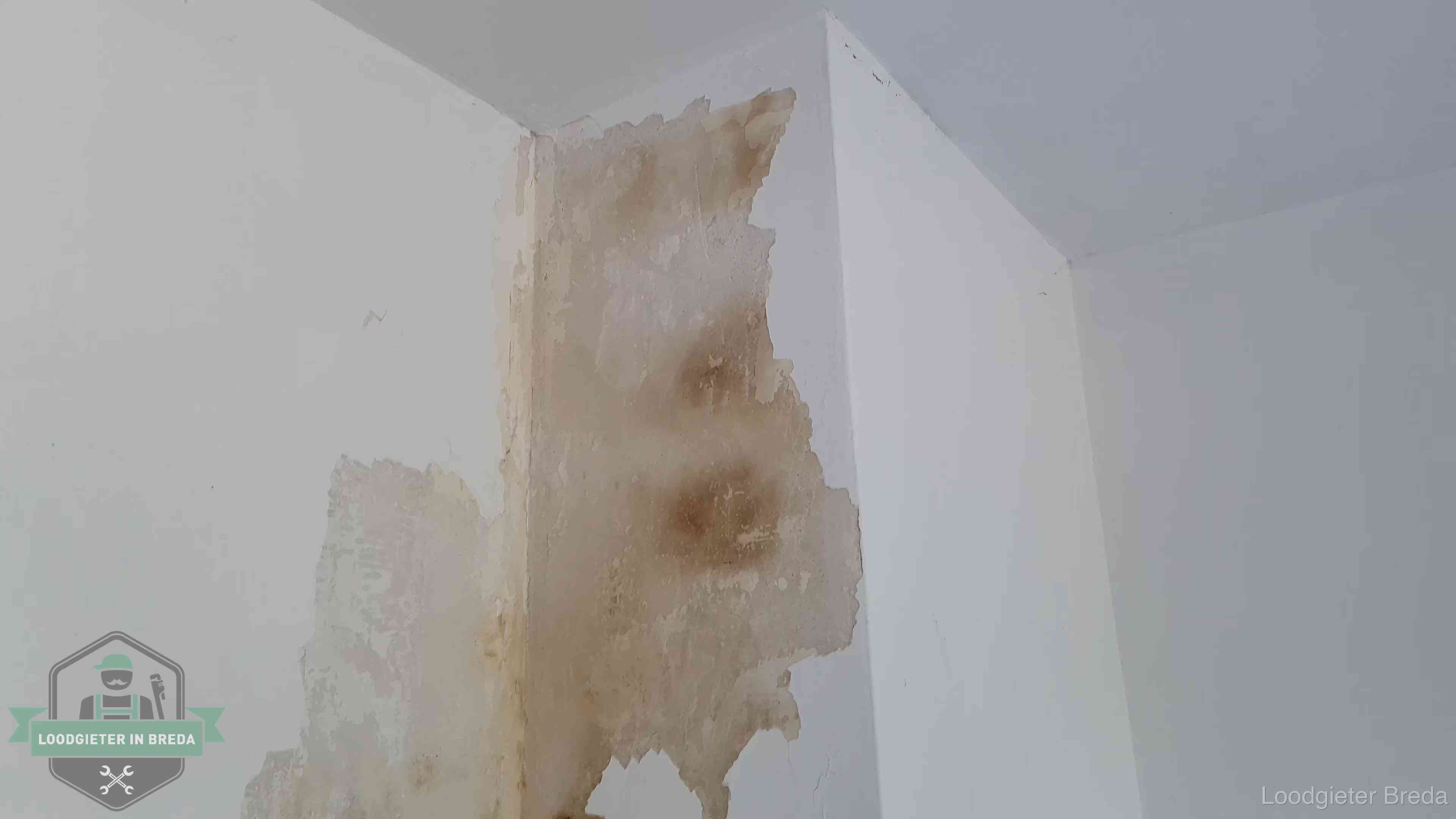 Daklekkage herkennen in Breda Bruine vochtkringen en afbladderend stucwerk op een binnenmuur in Breda, een eerste teken van daklekkage
