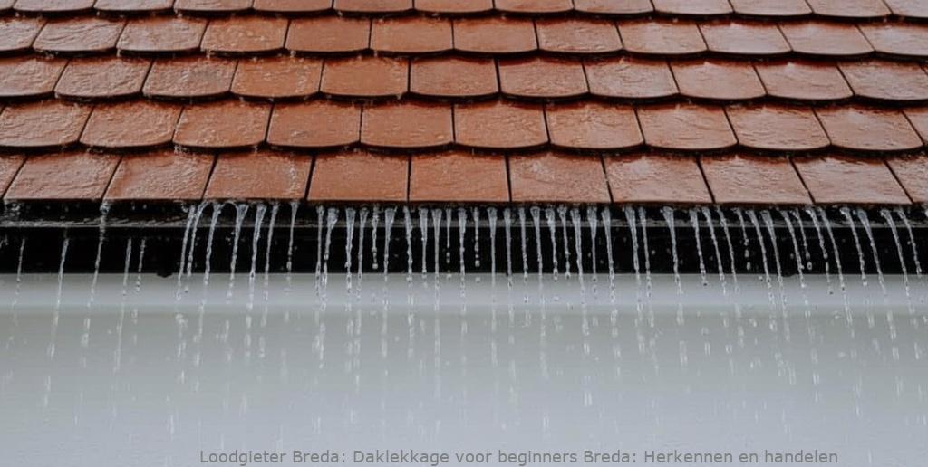 Daklekkage Voor Beginners Breda