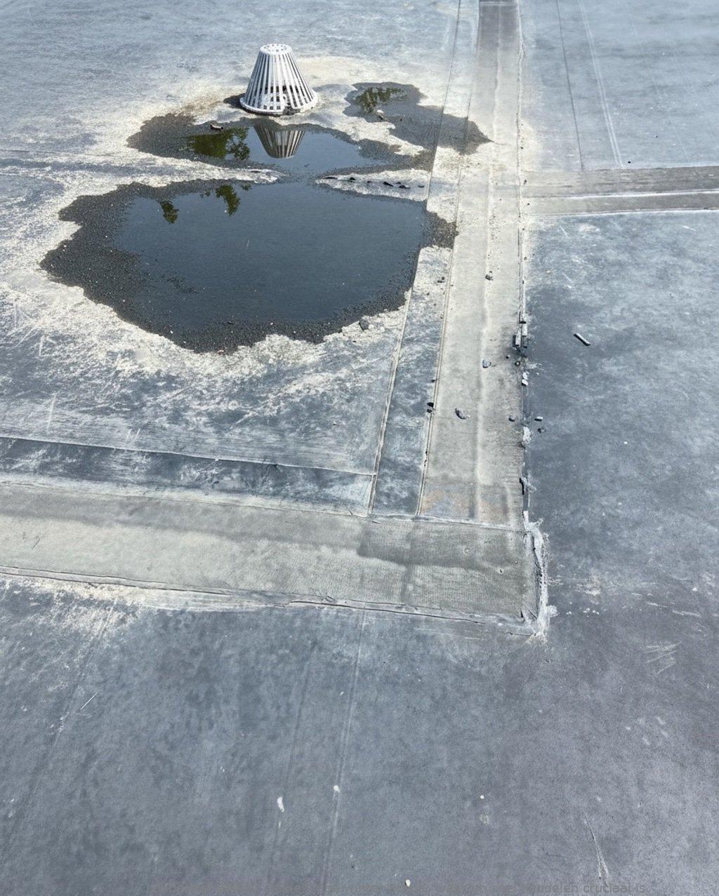 Daklekkage Winter Breda