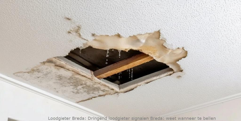 Dringend Loodgieter Signalen Breda