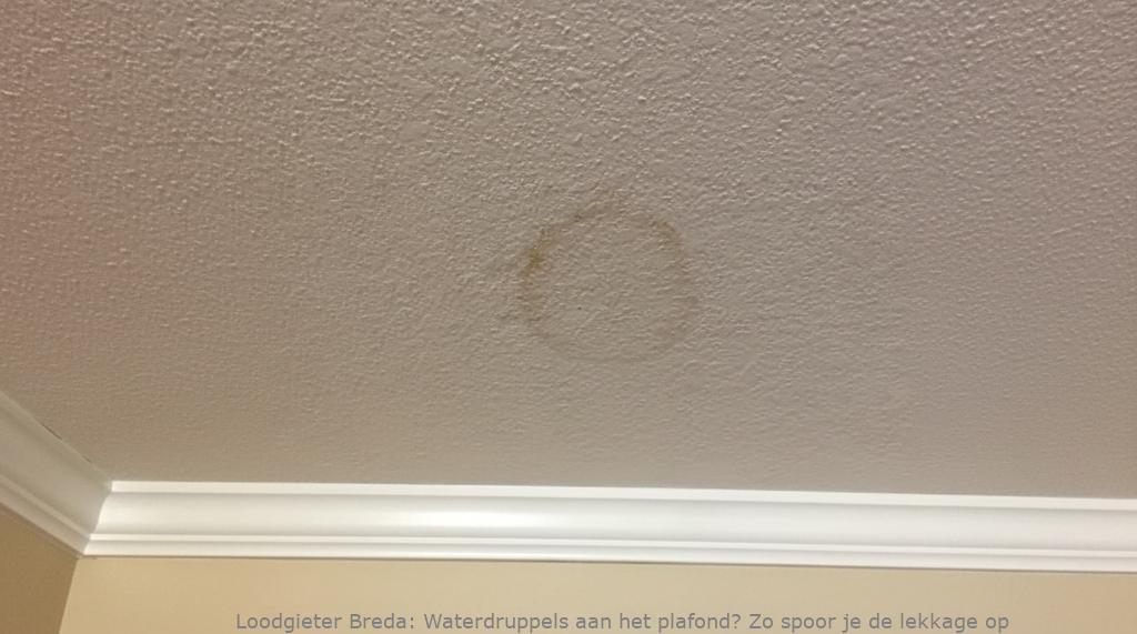 Lekkage Plafond Breda
