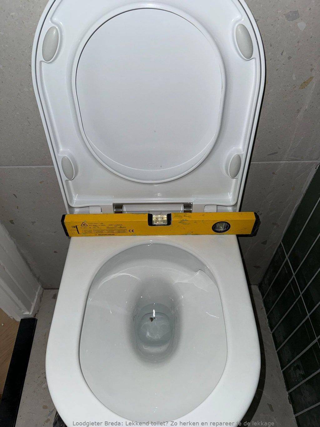 Lekkage Toilet Breda