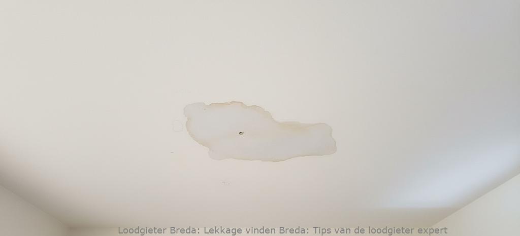 Lekkage Vinden Breda