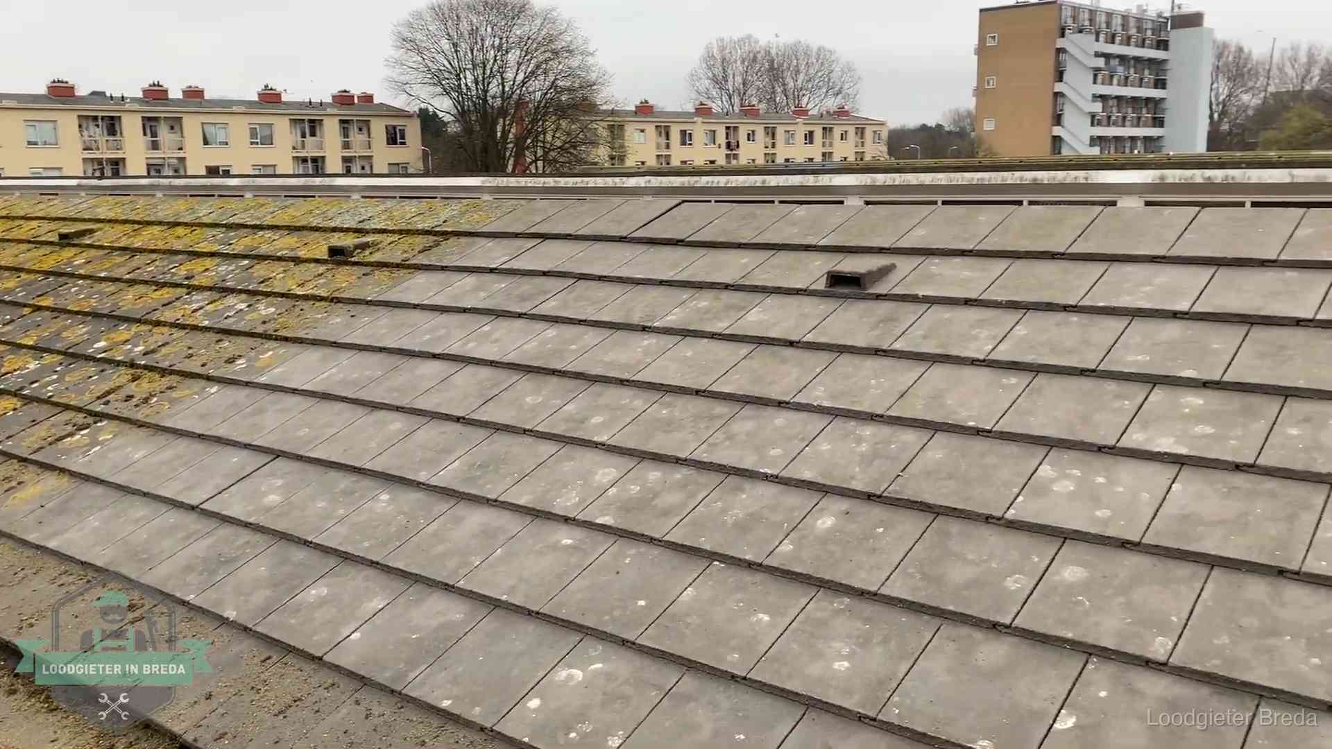 Dakpannen op een schuin dak in Breda Schuin dak met betonpannen vol mos in Breda, een risico op lekkage bij de pannen