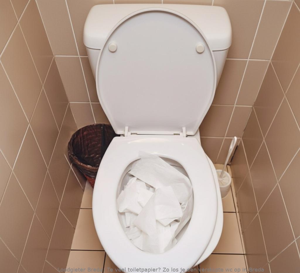Te Veel Toiletpapier Oplossing Breda