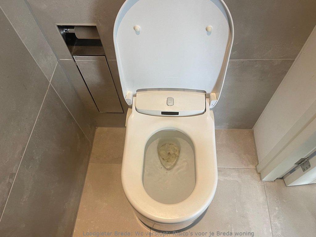 Toilet Verstopping Breda