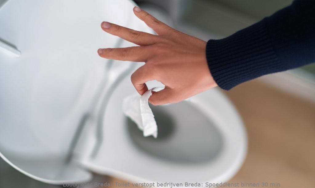 Toilet Verstopt Bedrijven Breda