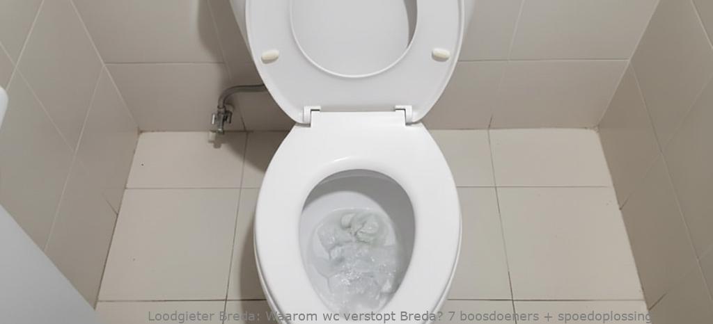 Waarom Wc Verstopt Breda