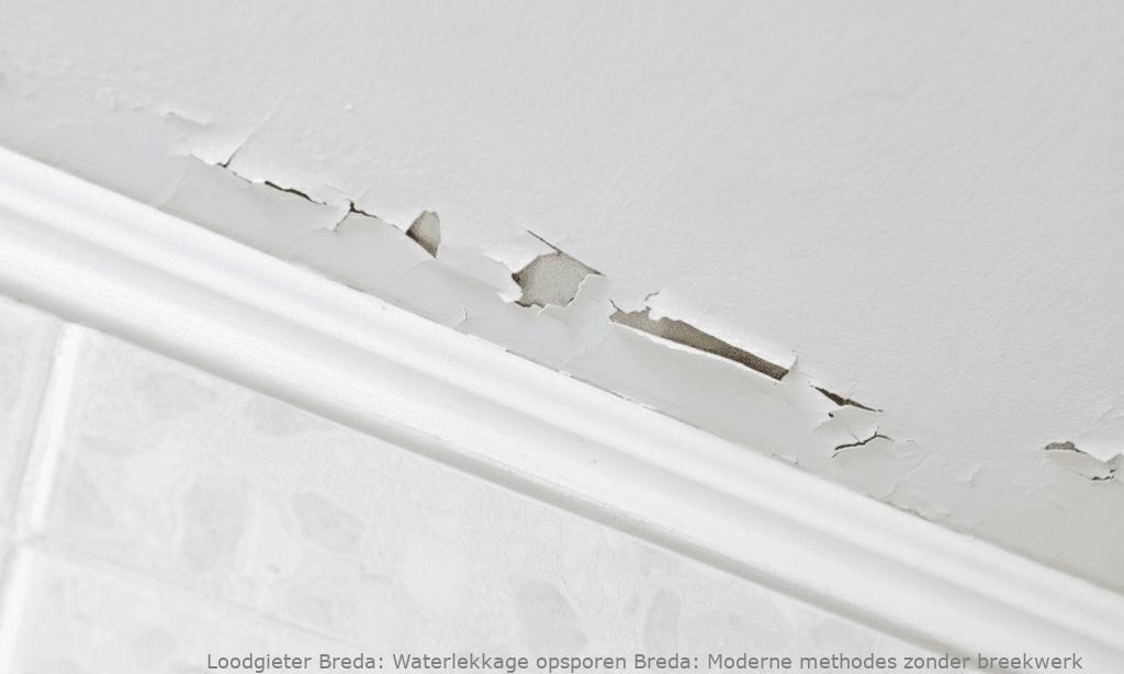 Waterlekkage Opsporen Breda